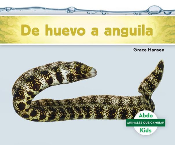 Cover image for De Huevo a Anguila / Becoming an Eel