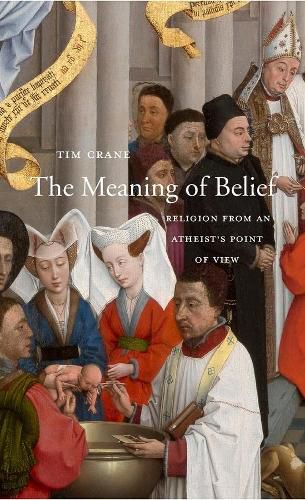 Cover image for The Meaning of Belief: Religion from an Atheist's Point of View