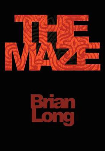 Cover image for The Maze