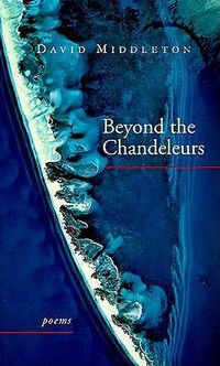 Cover image for Beyond the Chandeleurs: Poems