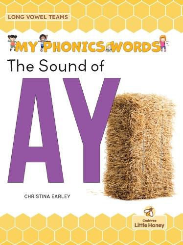 Cover image for The Sound of Ay