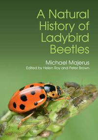 Cover image for A Natural History of Ladybird Beetles