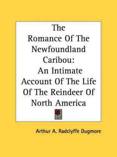 Cover image for The Romance of the Newfoundland Caribou: An Intimate Account of the Life of the Reindeer of North America