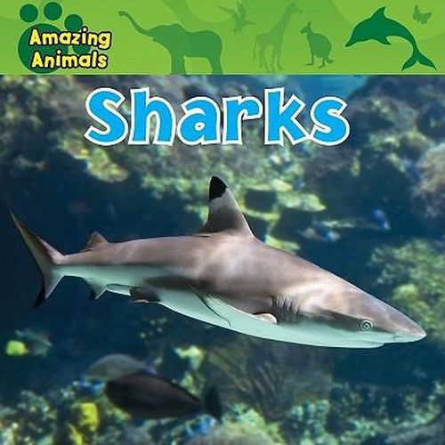 Cover image for Sharks