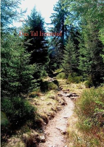 Cover image for Das Tal Irminsul