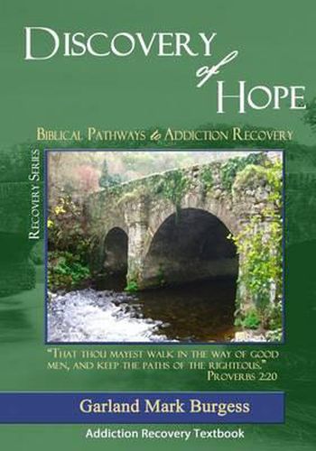 Cover image for Discovery of Hope: Biblical Pathways to Addiction Recovery