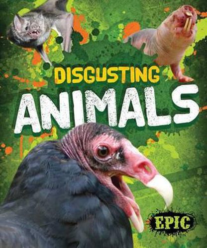 Cover image for Disgusting Animals