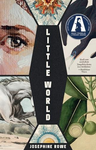 Cover image for Little World: A Novel