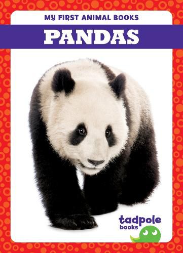 Cover image for Pandas