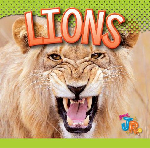 Cover image for Lions