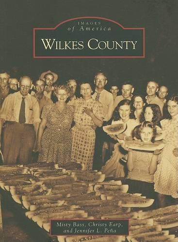 Cover image for Wilkes County