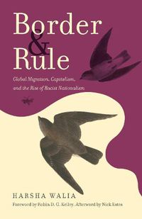 Cover image for Border and Rule: Global Migration, Capitalism, and the Rise of Racist Nationalism
