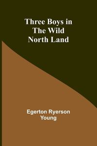 Cover image for Three Boys in the Wild North Land