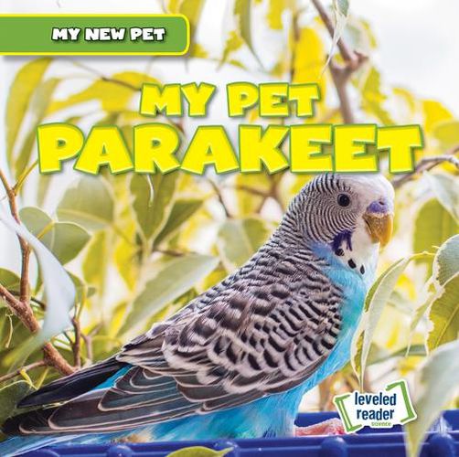 Cover image for My Pet Parakeet