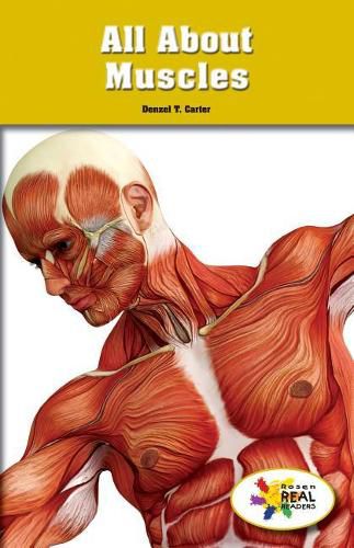 Cover image for All about Muscles
