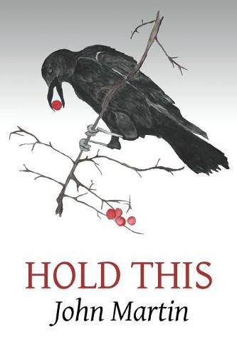 Cover image for Hold This