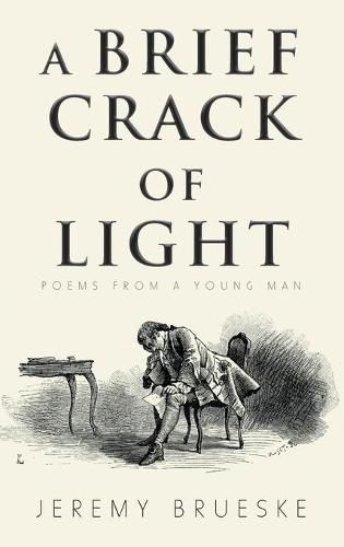 Cover image for A Brief Crack of Light