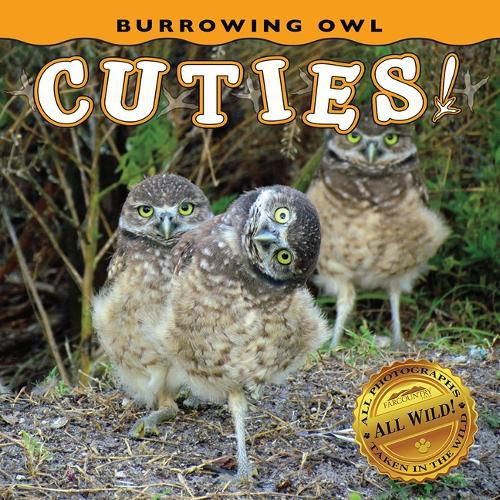 Cover image for Burrowing Owl Cuties!