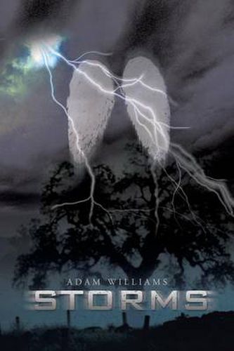 Cover image for Storms