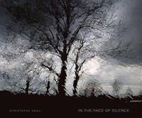 Cover image for In the Face of Silence