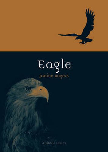 Cover image for Eagle