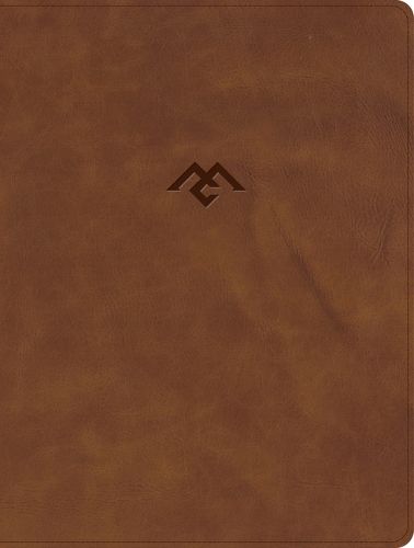 CSB Men of Character Bible, Revised and Updated, Brown Leathertouch