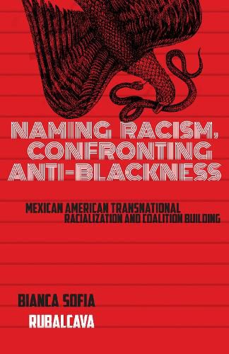 Cover image for Naming Racism, Confronting Anti-Blackness