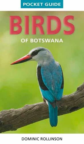 Cover image for Pocket Guide Birds of Botswana