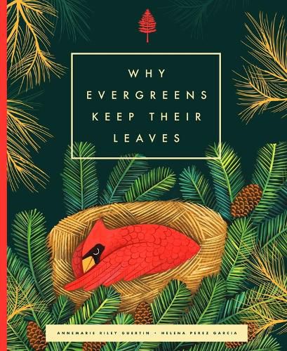 Why Evergreens Keep Their Leaves