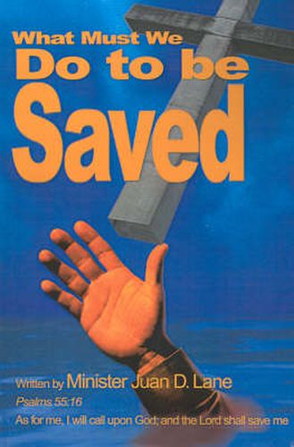 Cover image for What Must We Do to Be Saved