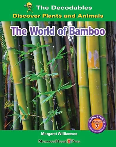 Cover image for The World of Bamboo