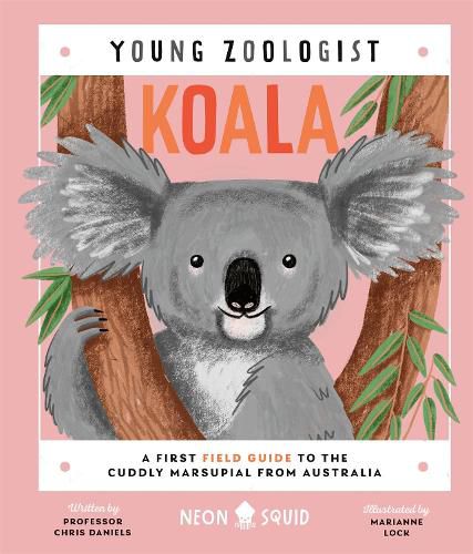 Cover image for Koala (Young Zoologist)