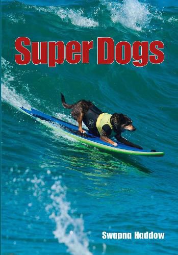 Cover image for Super Dogs