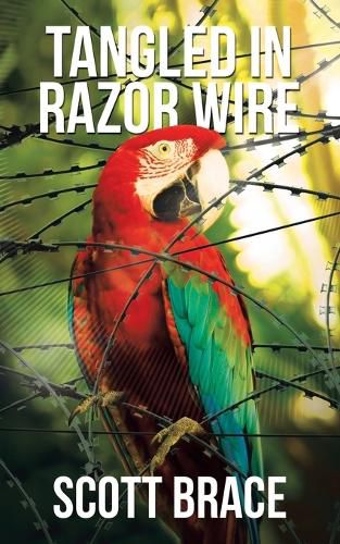 Cover image for Tangled in Razor Wire