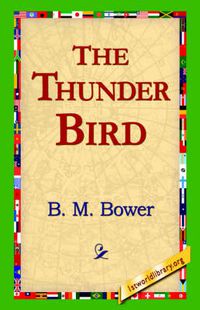 Cover image for The Thunder Bird