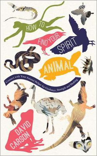 How to Find Your Spirit Animal: Connect with Your Animal Helper for Guidance, Strength and Healing