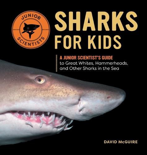 Cover image for Sharks for Kids: A Junior Scientist's Guide to Great Whites, Hammerheads, and Other Sharks in the Sea