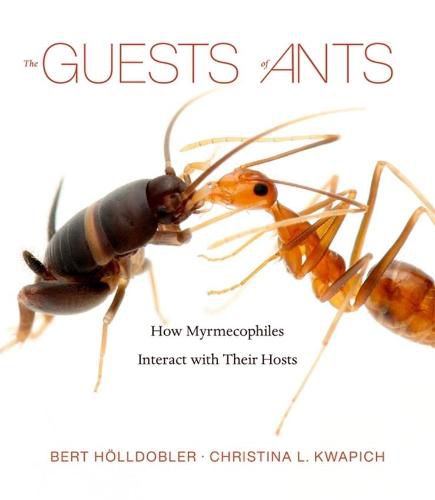 Cover image for The Guests of Ants: How Myrmecophiles Interact with Their Hosts