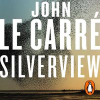 Cover image for Silverview: The Sunday Times Bestseller