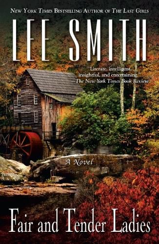 Cover image for Fair and Tender Ladies