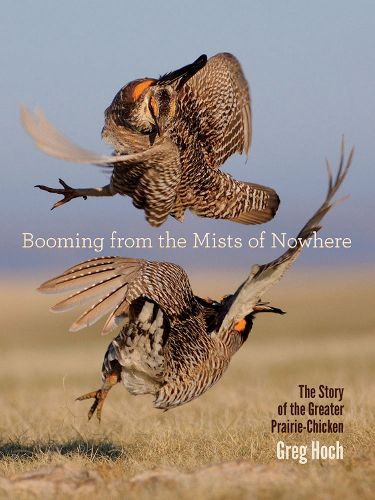 Cover image for Booming from the Mists of Nowhere: The Story of the Greater PrairieChicken