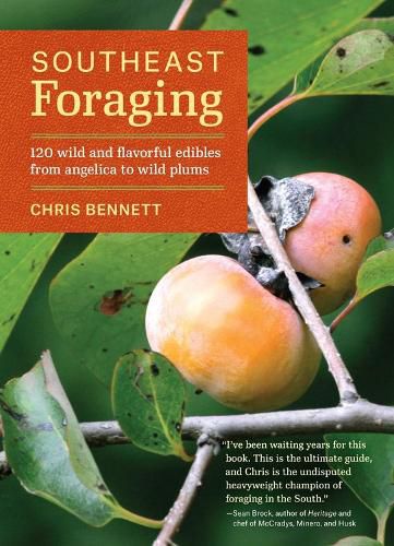 Southeast Foraging
