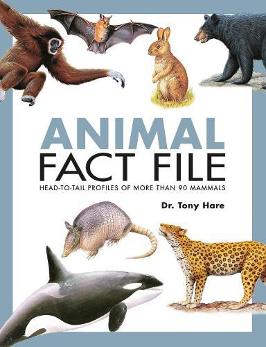 Cover image for Animal Fact File