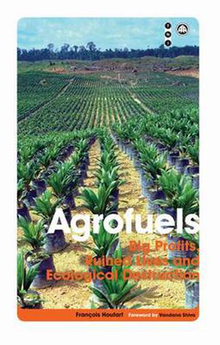 Cover image for Agrofuels: Big Profits, Ruined Lives and Ecological Destruction