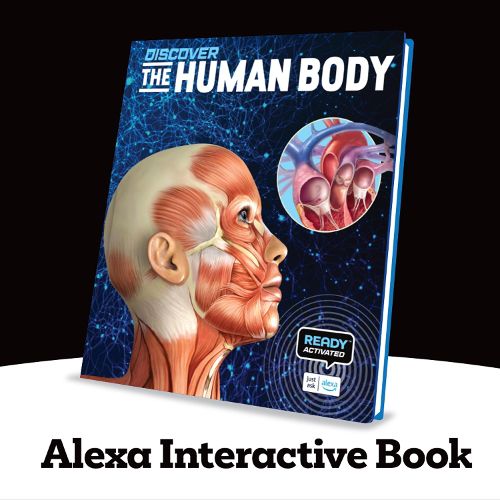 Cover image for Discover: The Human Body (Ready Activated: A Readyland Alexa Interactive Book)