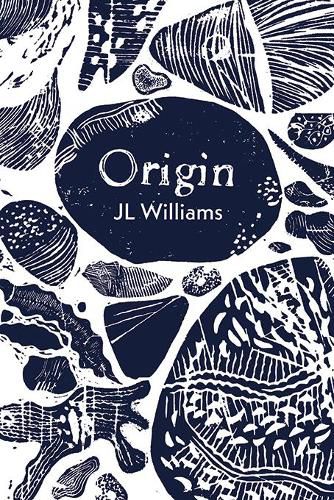 Cover image for Origin