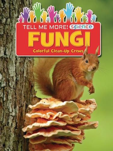 Cover image for Fungi: Colorful Clean-Up Crews