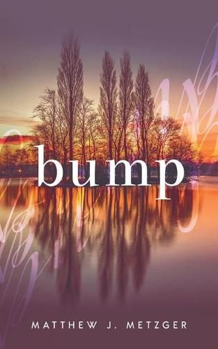 Cover image for Bump