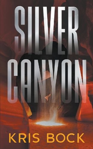 Cover image for Silver Canyon