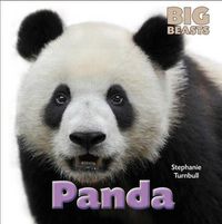 Cover image for Panda